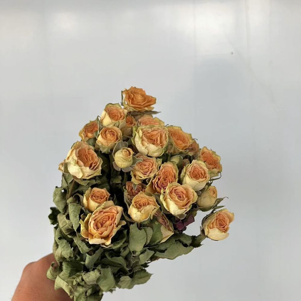 本物のプリザーブドローズ、ドライフラワーのブーケ。レジンアー - Resin Art Rose のレビューと価格