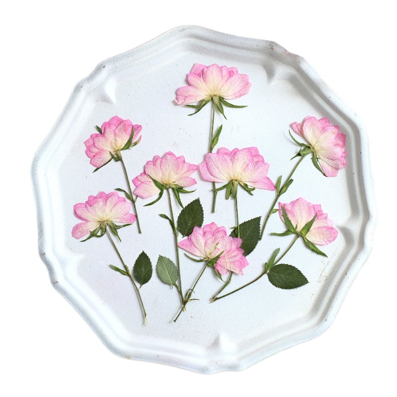 12個入り、本物の乾燥圧縮花、携帯電話ケースDIY用、ピンク - Resin Art Baby のレビューと価格
