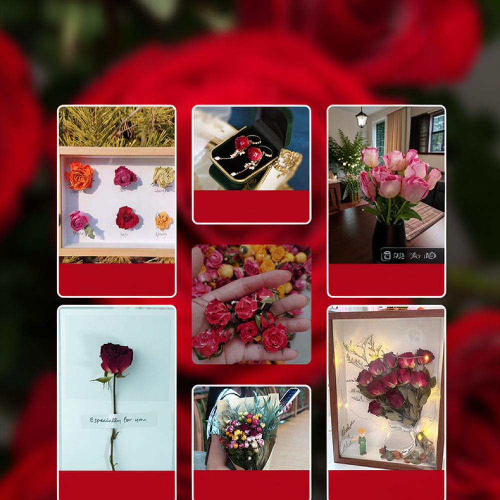 天然のドライローズの花束。泡のような形をしたローズ。本物の植 - Resin Art Rose のレビューと価格