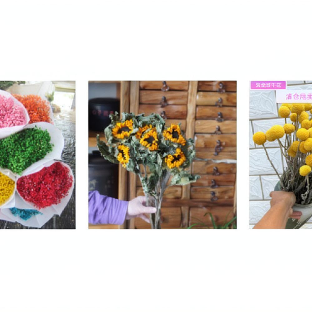 天然のドライローズの花束。泡のような形をしたローズ。本物の植 - Resin Art Rose のレビューと価格
